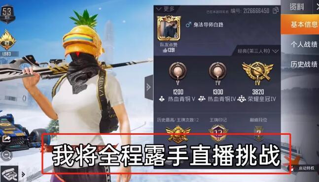 和平精英【逆境】辅助更新：新增防护插件，稳定体验再升及