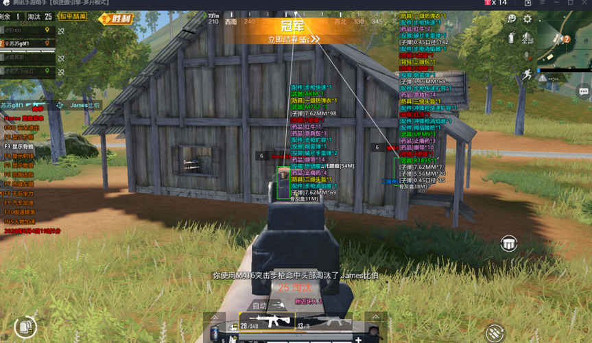 和平精英辅助【飞鸟】